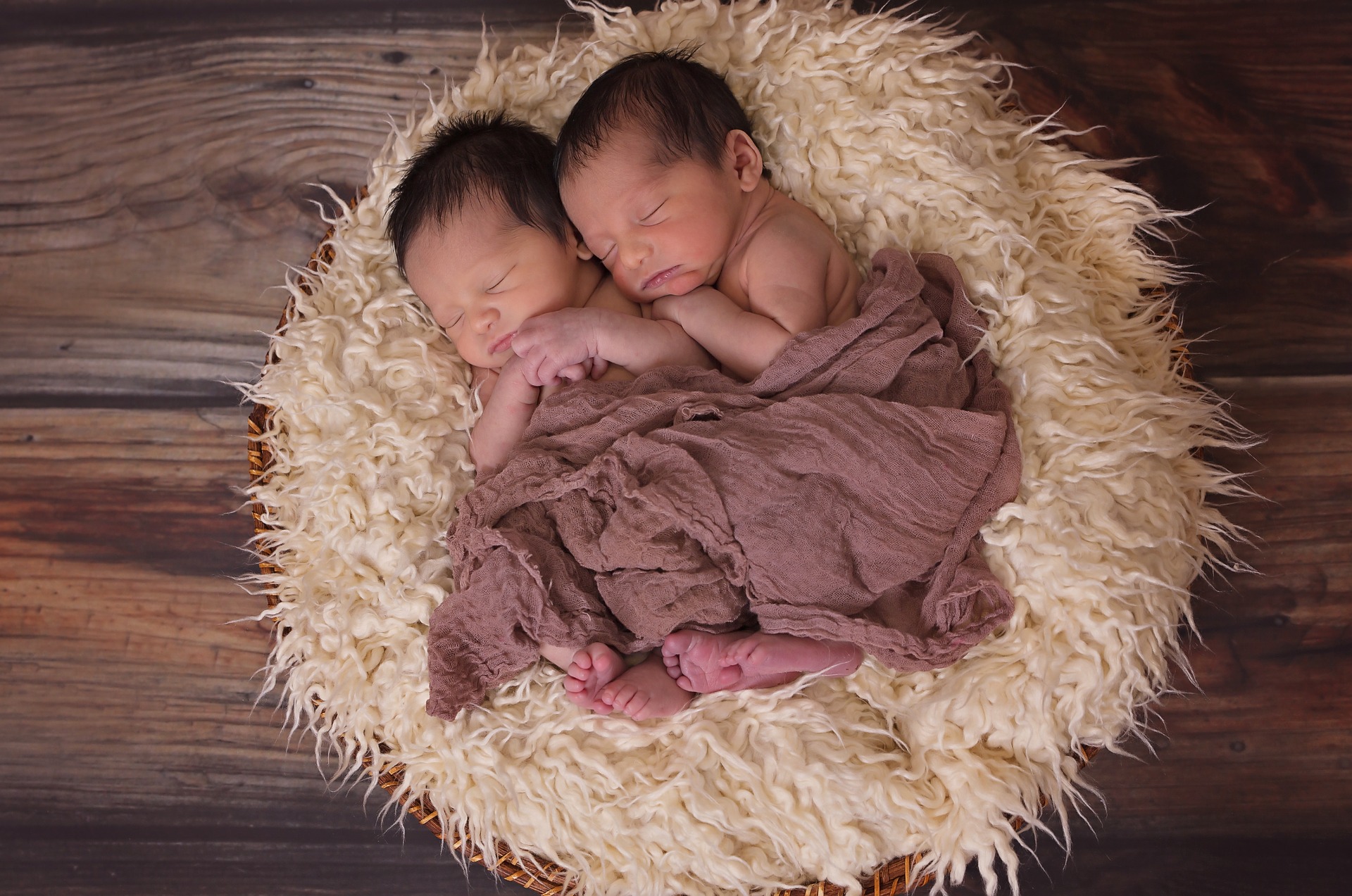 twin babies snuggled in basket
