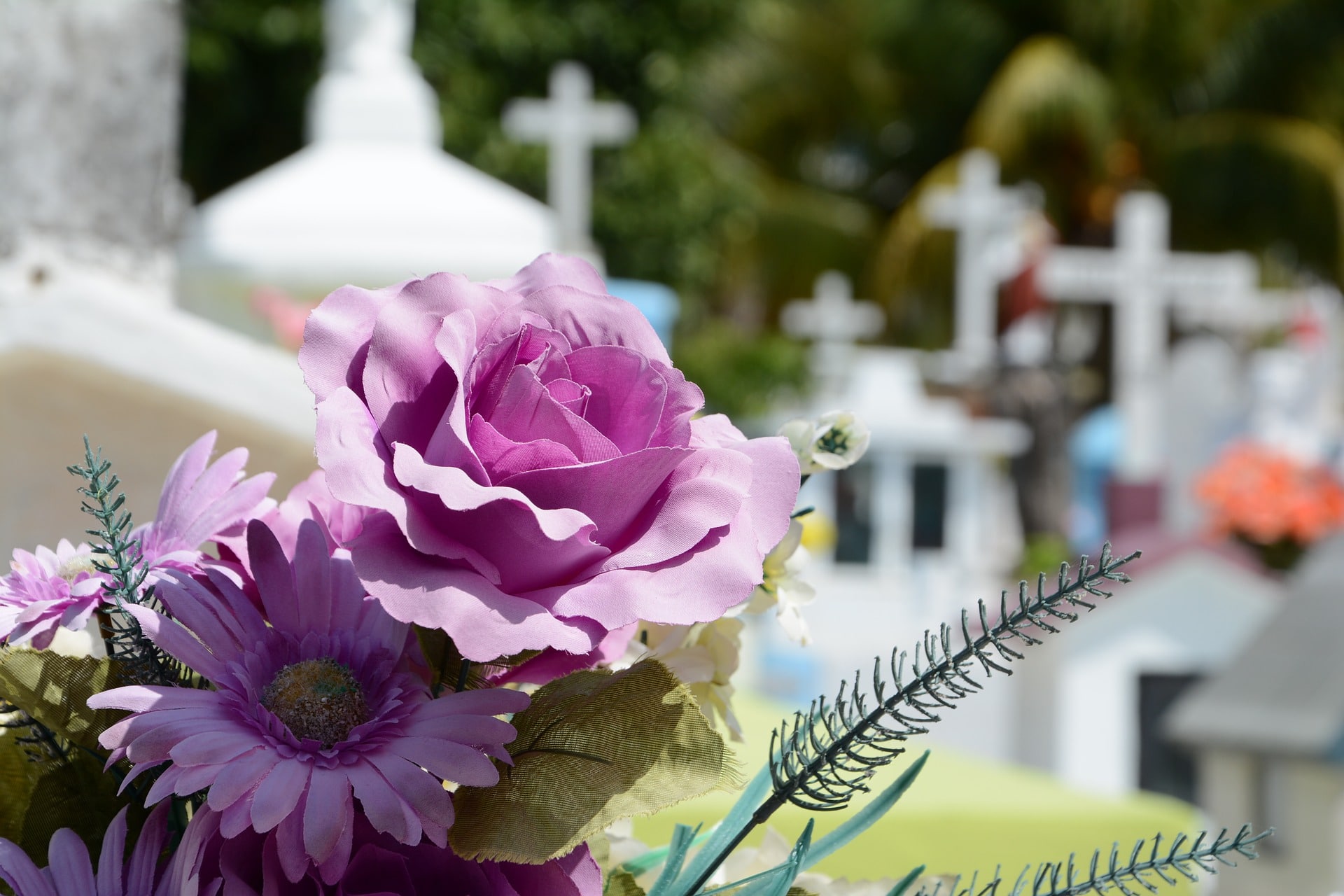 flowers in cemetery