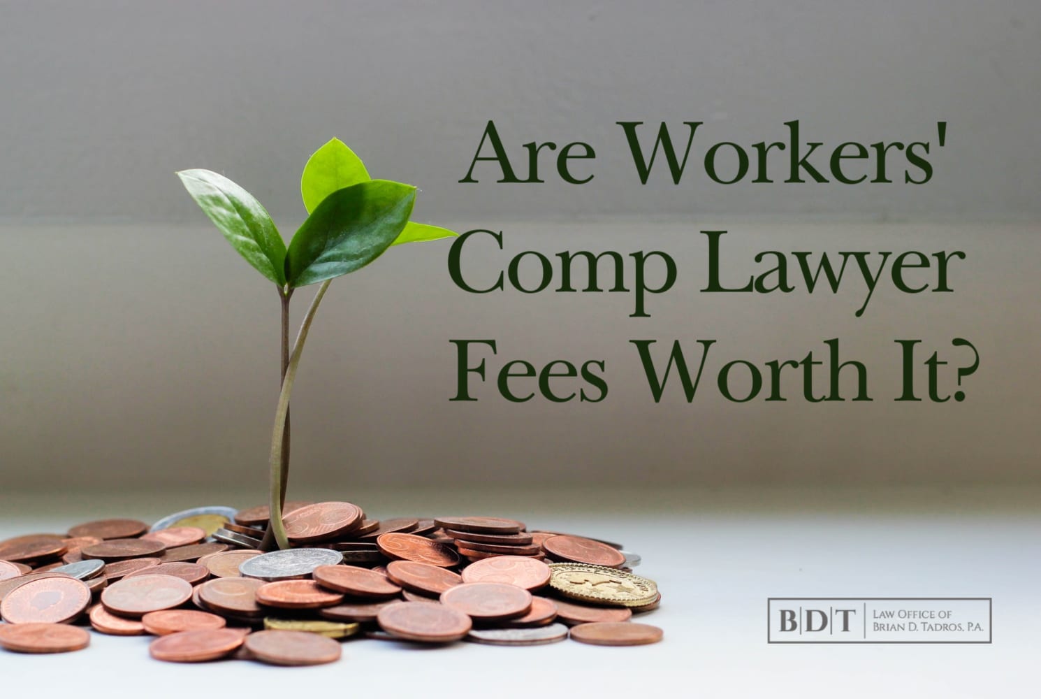 Worker Compensation Lawyer Lemon Grove thumbnail