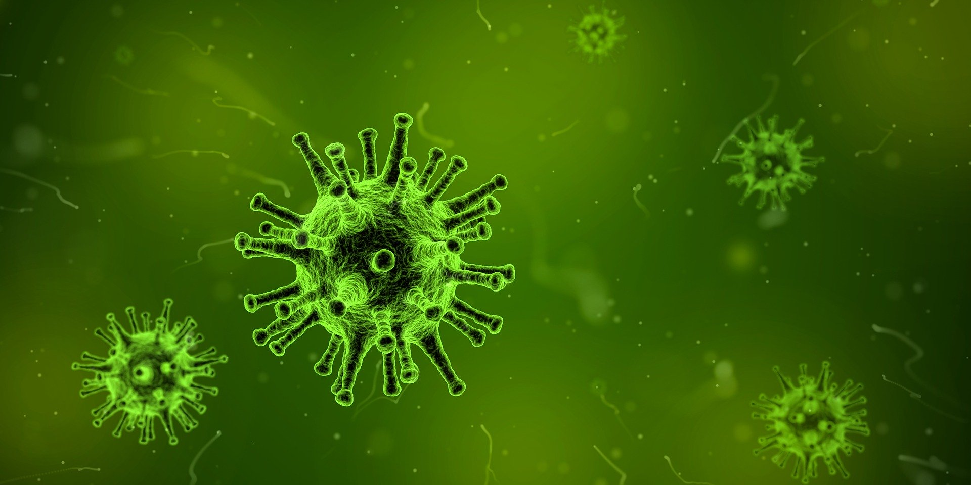 image of virus